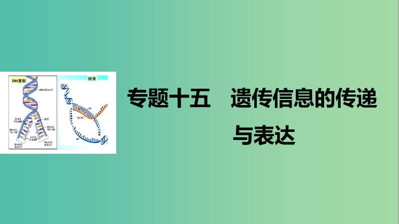 高考生物二轮复习专题十五遗传信息的传递与表达课件.ppt_第1页