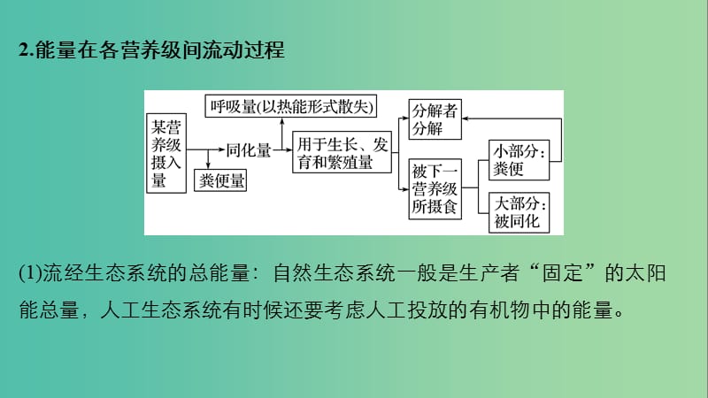 全国通用版2019高考生物二轮复习专题六生态与环境考点3生态系统的结构和功能课件.ppt_第3页