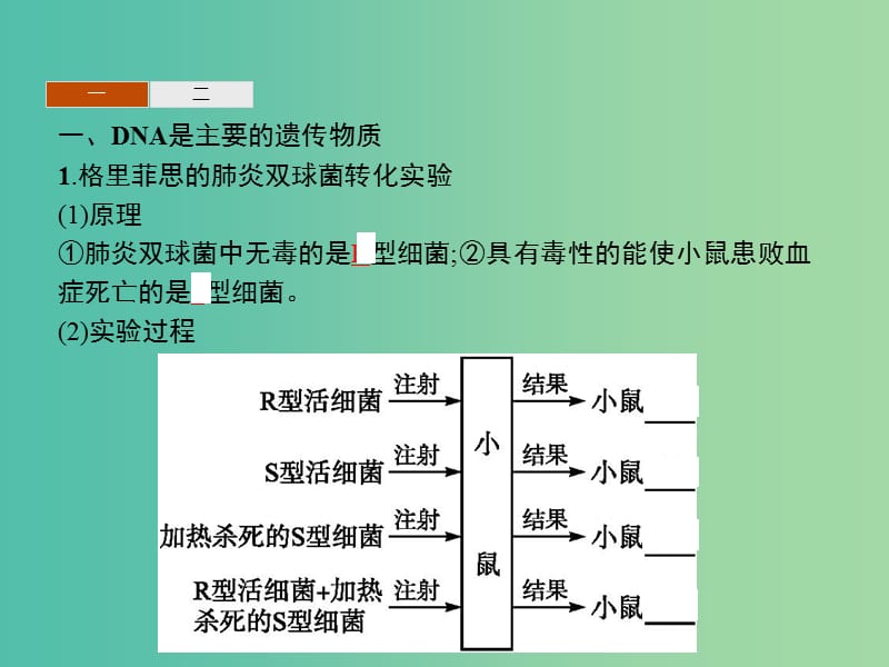 2019年高中生物 第四章 遗传的分子基础 4.1 探索遗传物质的过程课件 苏教版必修2.ppt_第3页