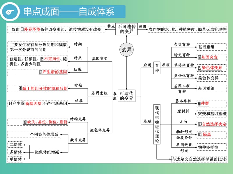 2019高考生物二轮复习 专题三 遗传 第3讲 变异、育种与进化 第Ⅰ课时 基础自查——学生为主体 抓牢主干以不变应万变课件.ppt_第3页