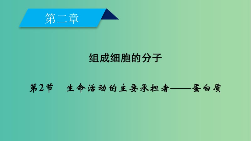 2019版高中生物 第二章 组成细胞的分子 第2节 生命活动的主要承担者——蛋白质课件 新人教版必修1.ppt_第2页