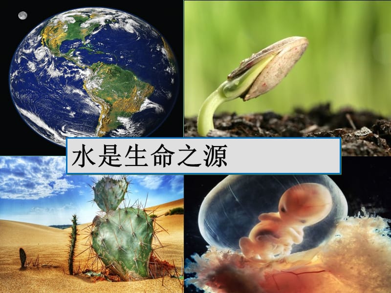 山西省晋城市高中生物 第二章 组成细胞的分子 2.5 细胞中的无机物课件 新人教版必修1.ppt_第3页