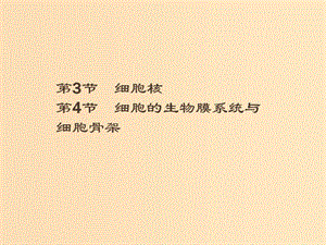 2018-2019高中生物 第3章 細胞的結(jié)構(gòu) 3.3 細胞核 3.4 細胞的生物膜系統(tǒng)與細胞骨架課件 北師大版必修1.ppt