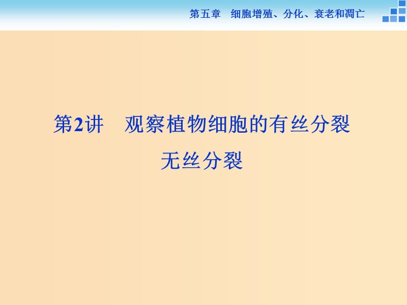 2018-2019學(xué)年高中生物 第五章 細(xì)胞增殖、分化、衰老和凋亡 第一節(jié) 細(xì)胞增殖 第2講 觀察植物細(xì)胞的有絲分裂 無絲分裂課件 蘇教版必修1.ppt_第1頁