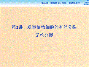 2018-2019學(xué)年高中生物 第五章 細(xì)胞增殖、分化、衰老和凋亡 第一節(jié) 細(xì)胞增殖 第2講 觀察植物細(xì)胞的有絲分裂 無絲分裂課件 蘇教版必修1.ppt