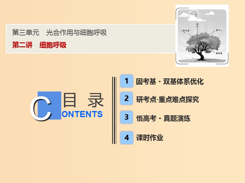2019版高考生物一轮复习 第三单元 光合作用与细胞呼吸 第二讲 细胞呼吸课件 苏教版.ppt_第1页