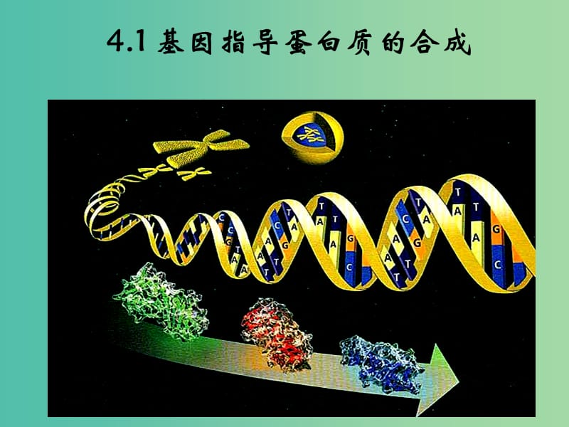 山东省日照市高中生物 第四章 基因的表达 4.1 基因指导蛋白质的合成课件 新人教版必修2.ppt_第1页