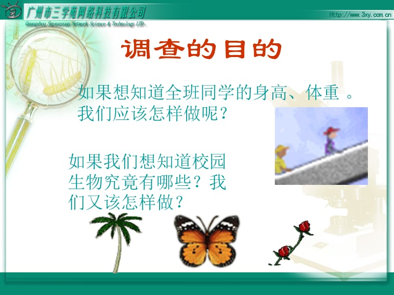 《调查身边的生物》PPT课件.ppt_第3页