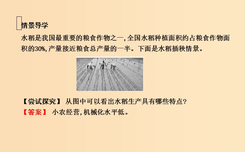 2018-2019学年高中地理 第三章 人口的变化 第二节 以种植业为主的农业地域类型2课件 新人教版必修2.ppt_第3页