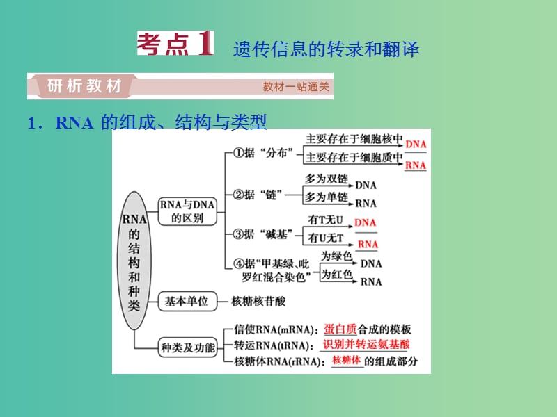 2019届高考生物一轮复习 第六单元 遗传的物质基础 第21讲 基因的表达课件.ppt_第3页