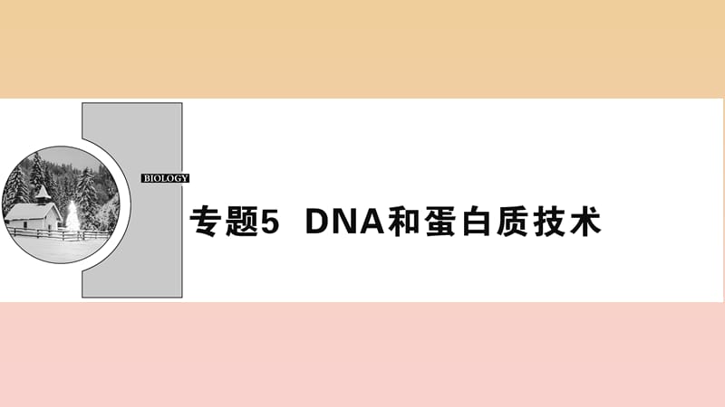 2017-2018学年高中生物 专题5 DNA和蛋白质技术 课题1 DNA的粗提取与鉴定课件 新人教版选修1 .ppt_第1页