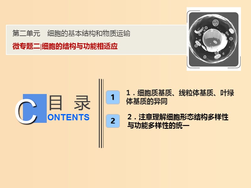 2019版高考生物一轮复习第二单元细胞的基本结构和物质运输微专题二细胞的结构与功能相适应课件苏教版.ppt_第1页