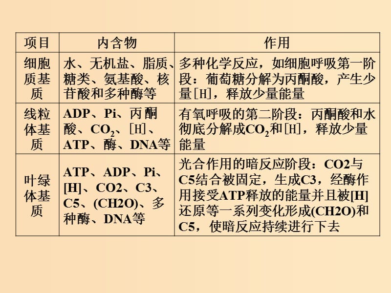 2019版高考生物一轮复习第二单元细胞的基本结构和物质运输微专题二细胞的结构与功能相适应课件苏教版.ppt_第3页