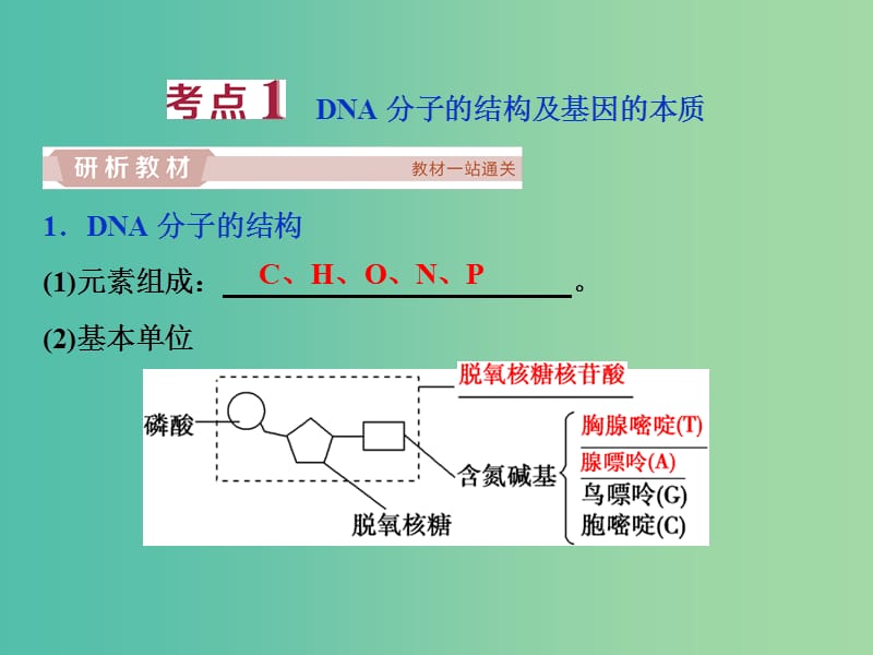 2019届高考生物一轮复习 第六单元 遗传的物质基础 第20讲 DNA分子的结构 DNA的复制 基因是有遗传效应的DNA片段课件.ppt_第3页