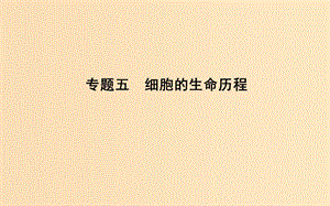 2019版高考生物二輪復習 第一部分 專題突破 專題五 細胞的生命歷程課件.ppt