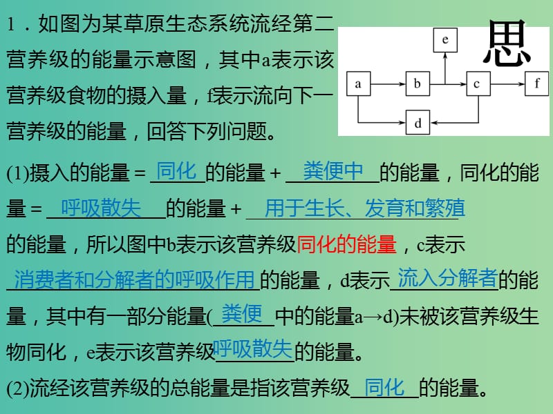 江西省吉安县高中生物 第五章 生态系统及其稳定性 5.2 生态系统的能量流动（2）课件 新人教版必修3.ppt_第3页