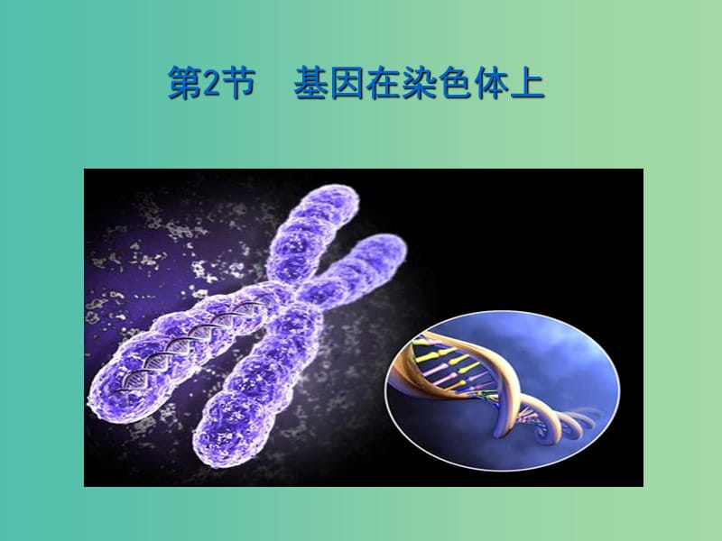 云南省峨山彝族自治县高中生物 第二章 基因和染色体的关系 2.2《基因在染色体上》课件 新人教版必修2.ppt_第1页