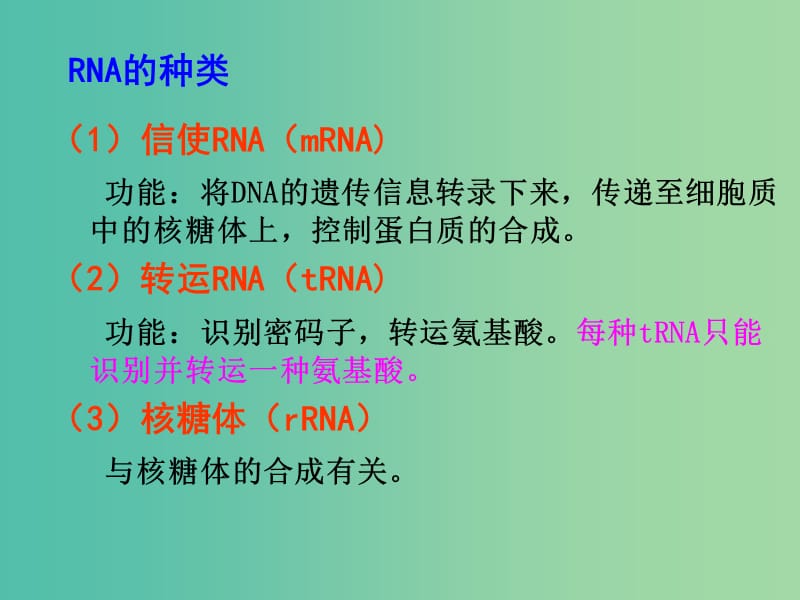 山东省沂水县高中生物 第四章 基因的表达 4.1 基因指导蛋白质的合成课件 新人教版必修2.ppt_第2页