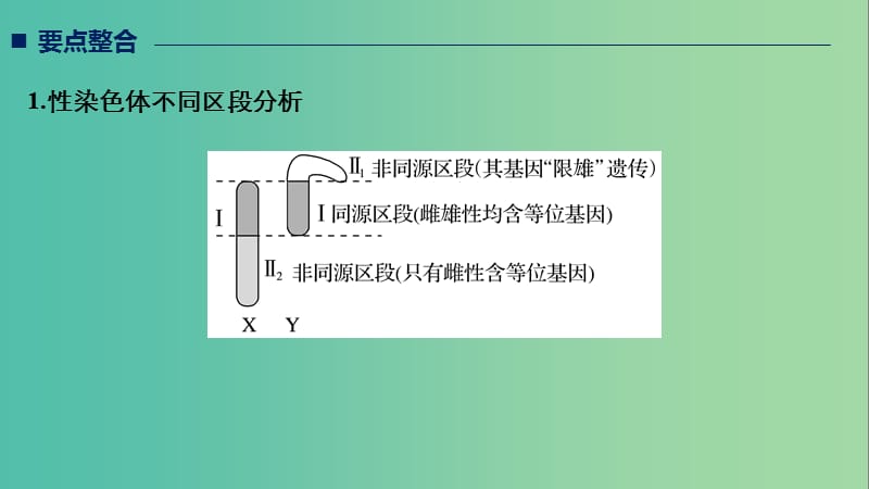 全国通用版2019高考生物二轮复习专题三基因的遗传规律考点2伴性遗传与人类遗传参件.ppt_第2页