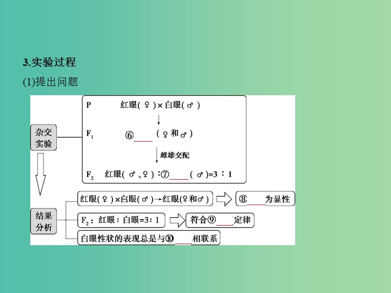 2019届高考生物二轮复习 专题13 伴性遗传和人类遗传病课件.ppt_第3页