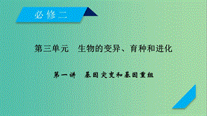 2019高考生物一輪總復(fù)習(xí) 第三單元 生物的變異、育種和進(jìn)化 第1講 基因突變和基因重組課件 新人教版必修2.ppt