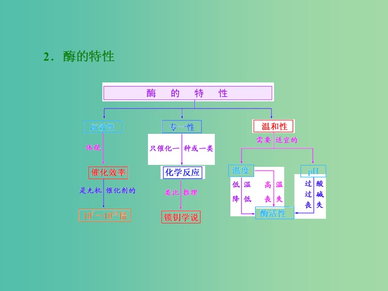 高考生物一轮复习 第三单元 第1讲 酶和ATP课件 新人教版必修1.ppt_第3页