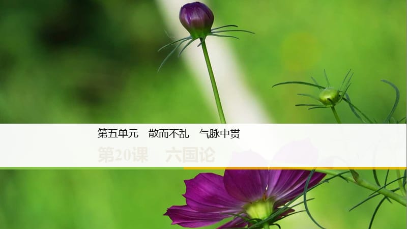 2018-2019學(xué)年高中語(yǔ)文 第五單元 第20課 六國(guó)論課件 新人教版選修《中國(guó)古代詩(shī)歌散文欣賞》.ppt_第1頁(yè)