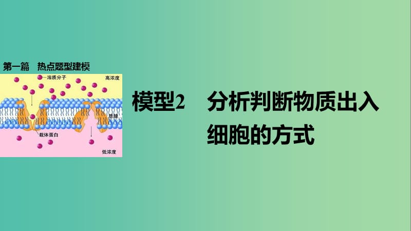 高考生物大二轮专题复习与增分策略 热点题型建模 模型2 分析判断物质出入细胞的方式课件.ppt_第1页