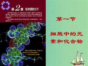 四川省成都市高中生物 第二章 組成細(xì)胞的分子 2.1 細(xì)胞中的元素和化合物課件 新人教版必修1.ppt