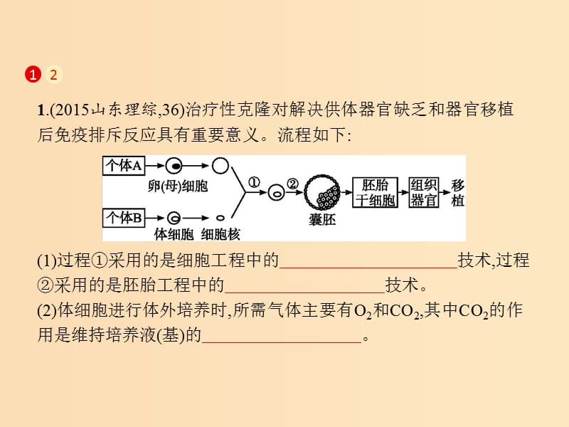 2019版高考生物二轮复习 专题六 生物工程与技术 第十六讲 胚胎工程与生态工程课件.ppt_第2页