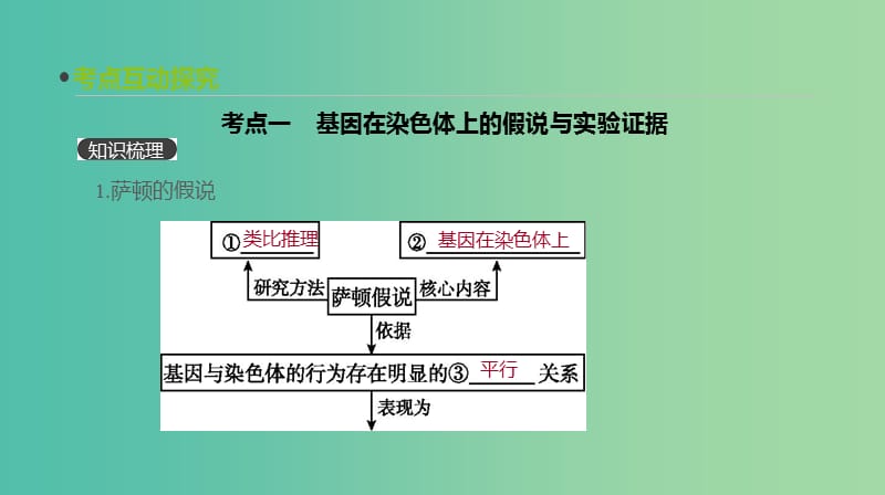 2019届高考生物一轮复习 第5单元 遗传的基本规律和遗传的细胞基础 第16讲 伴性遗传和人类遗传病课件.ppt_第3页