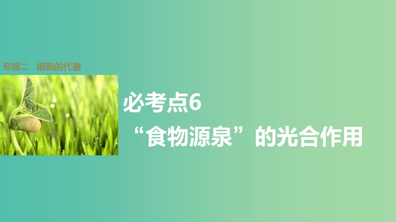 高考生物大二轮总复习 增分策略 专题二 必考点6“食物源泉”的光合作用课件.ppt_第1页