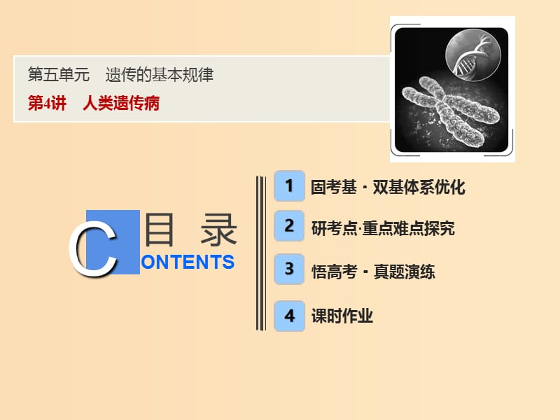 2019版高考生物一轮复习 第五单元 遗传的基本规律 第4讲 人类遗传病课件 新人教版.ppt_第1页