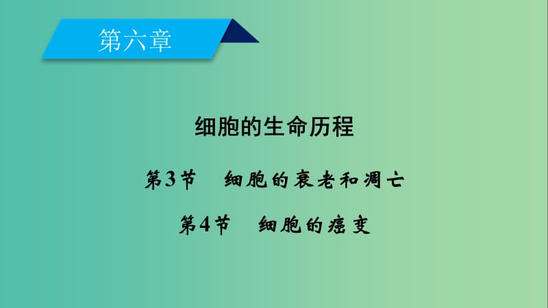 2019版高中生物 第六章 细胞的生命历程 第3节 细胞的衰老和凋亡 第4节 细胞的癌变课件 新人教版必修1.ppt_第2页