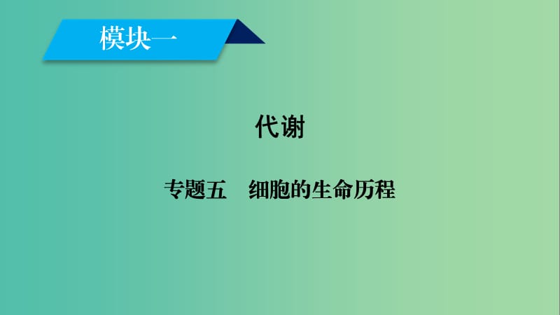 2019高考生物大二轮复习 专题五 细胞的生命历程课件.ppt_第1页