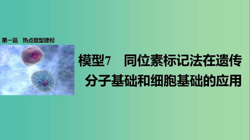 高考生物大二輪專題復(fù)習與增分策略 熱點題型建模 模型7 同位素標記法在遺傳分子基礎(chǔ)和細胞基礎(chǔ)的應(yīng)用課件.ppt_第1頁