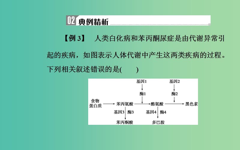 2019高中生物学业水平复习 专题八 遗传的基本规律 考点3 基因与性状的关系课件.ppt_第3页