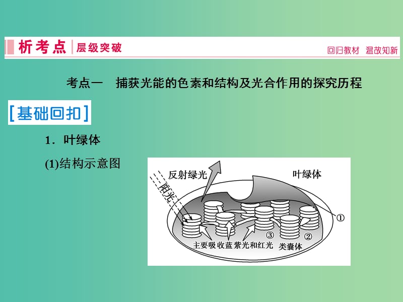 2019届高考生物一轮复习 第三单元 细胞的能量供应和利用 第10讲 光与光合作用课件 新人教版.ppt_第3页