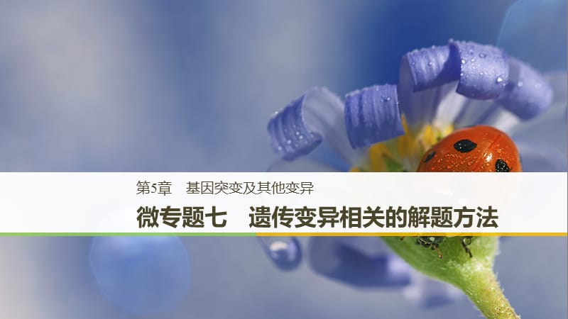 2018-2019學(xué)年高中生物 第5章 基因突變及其他變異 微專題七 遺傳變異相關(guān)的解題方法課件 新人教版必修2.ppt_第1頁