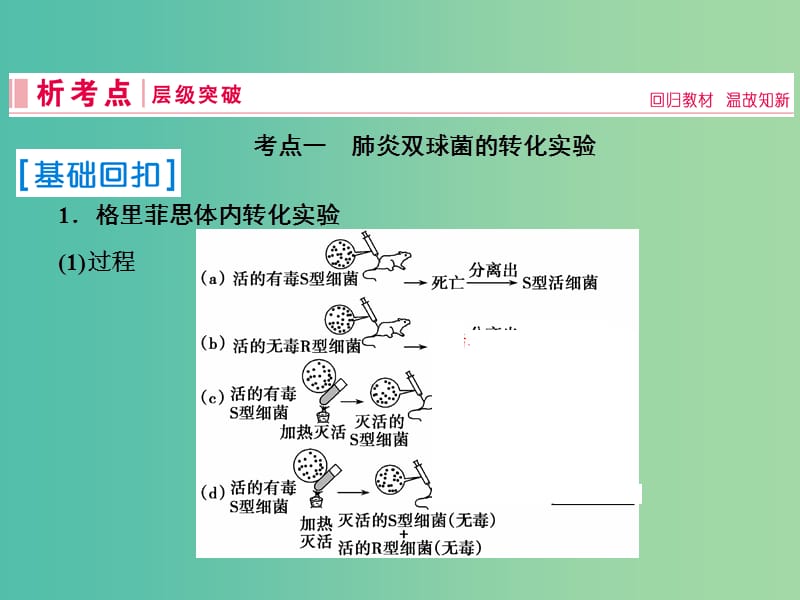 2019届高考生物一轮复习 第六单元 遗传的分子基础 第17讲 DNA是主要的遗传物质课件 新人教版.ppt_第3页