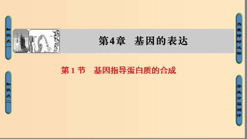 2018版高中生物 第四章 基因的表達(dá) 第1節(jié) 基因指導(dǎo)蛋白質(zhì)的合成課件 新人教版必修2.ppt_第1頁(yè)