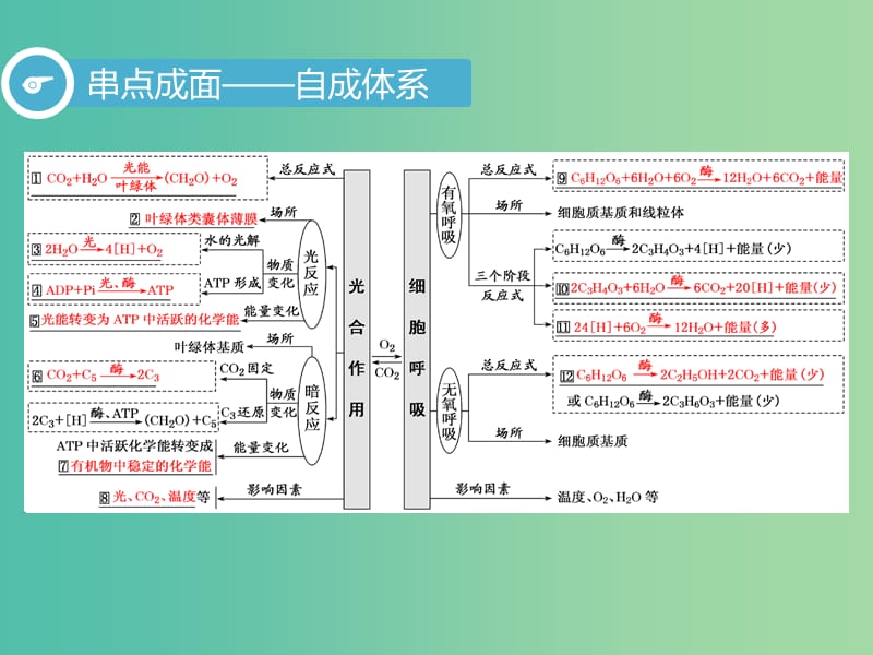 2019高考生物二轮复习 专题二 代谢 第2讲 细胞呼吸与光合作用 第Ⅰ课时 基础自查——学生为主体 抓牢主干以不变应万变课件.ppt_第3页