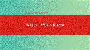 2019年高考化學總復習 專題05 鈉及其化合物課件.ppt