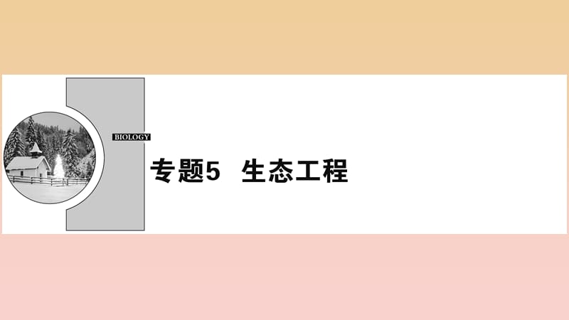 2017-2018学年高中生物 专题5 生态工程 5.1 生态工程的基本原理课件 新人教版选修3.ppt_第1页