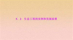 2017-2018學(xué)年高中生物 專題5 生態(tài)工程 5.2 生態(tài)工程的實(shí)例和發(fā)展前景課件 新人教版選修3.ppt