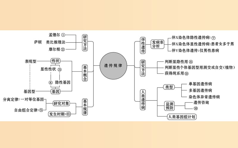 2019版高考生物二轮复习 专题六 遗传的基本规律与人类遗传病课件.ppt_第2页