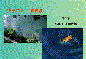 寧夏銀川市高中物理 第十二章 機(jī)械波 12.1 波的形成和傳播課件 新人教版選修3-4.ppt