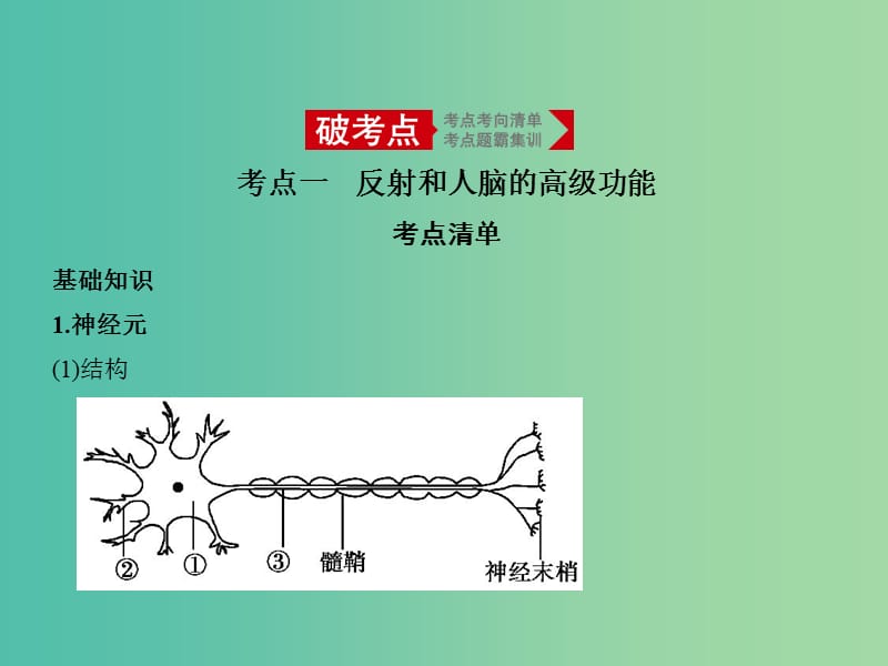 2019届高考生物二轮复习 专题17 人和高等动物的神经调节课件.ppt_第1页