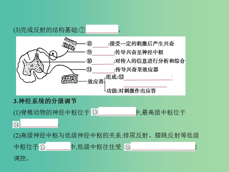 2019届高考生物二轮复习 专题17 人和高等动物的神经调节课件.ppt_第3页