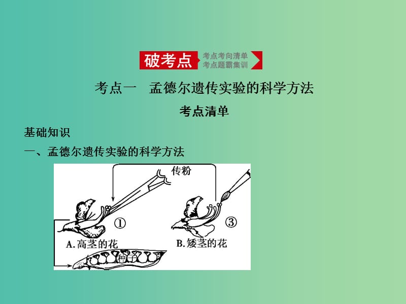 2019届高考生物二轮复习 专题11 基因的分离定律课件.ppt_第1页